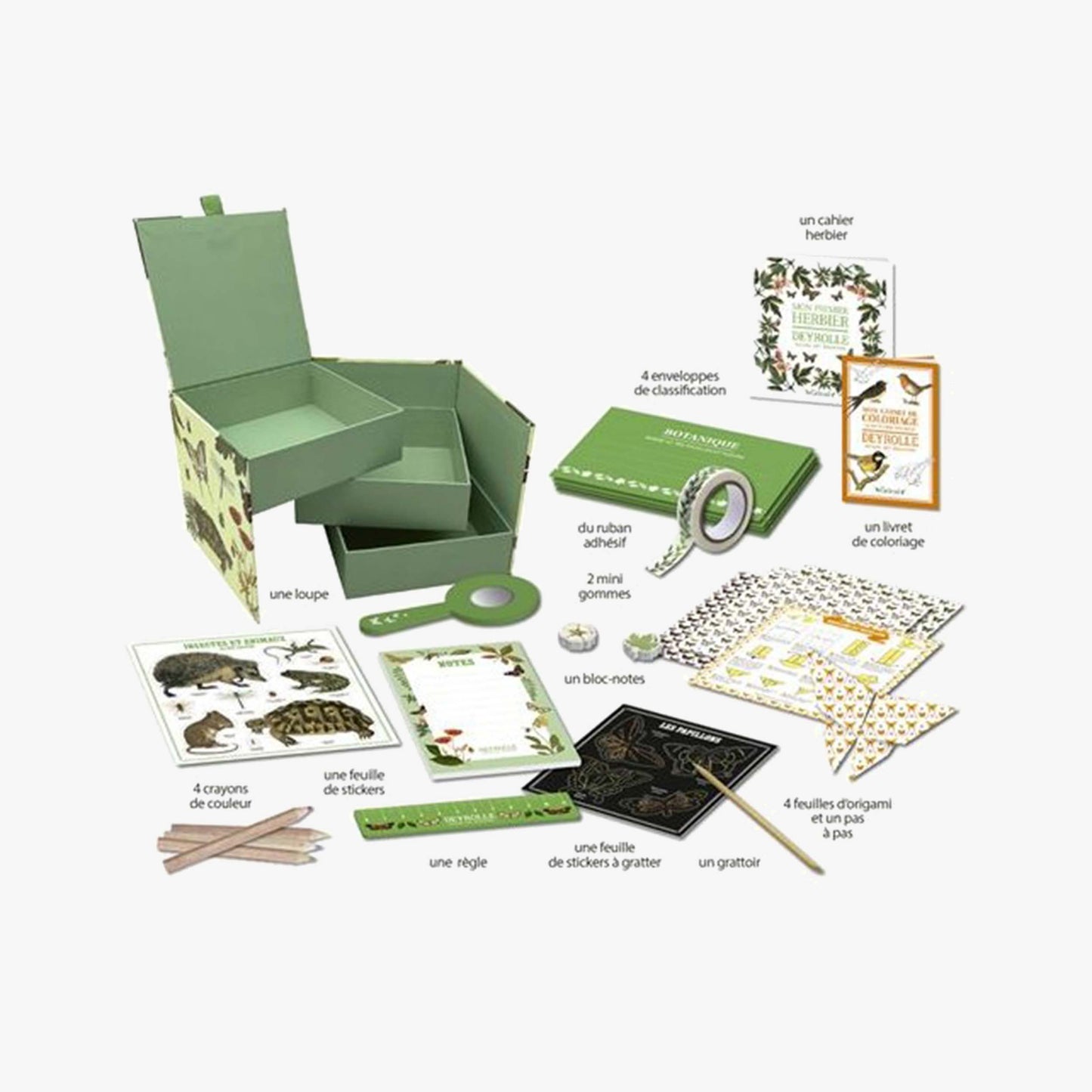 Mon premier cabinet de curiosités - DEYROLLE
