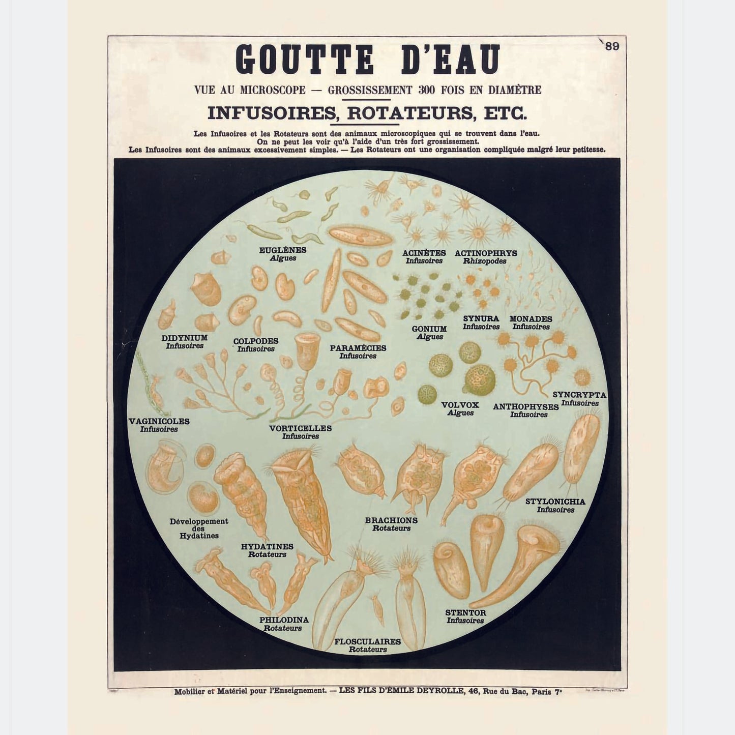 Goutte d'eau