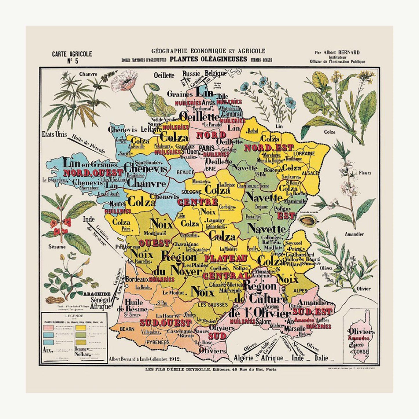 Carte de géographie n°5 : "Plantes oléagineuses"