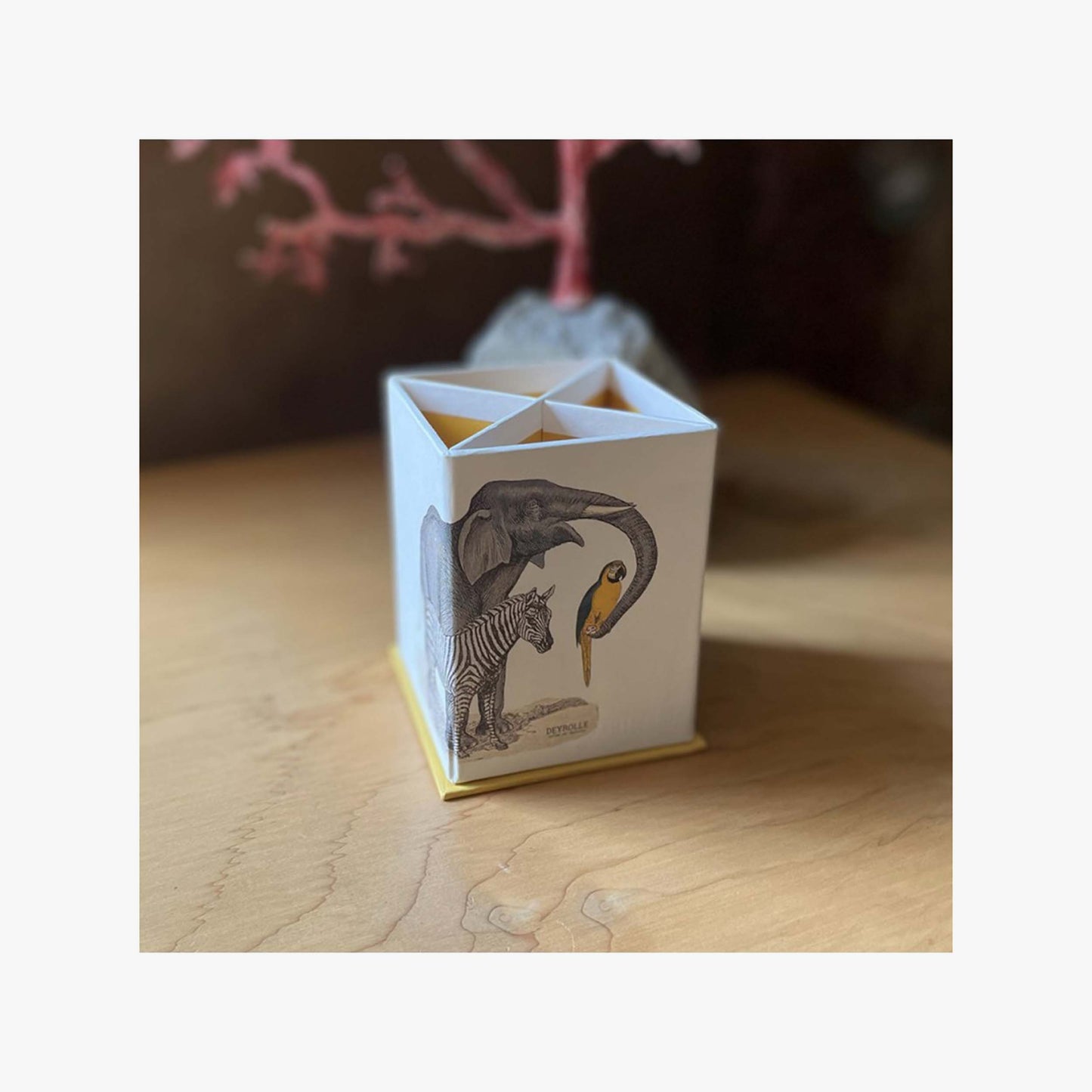 Deyrolle x Clairefontaine pencil pot