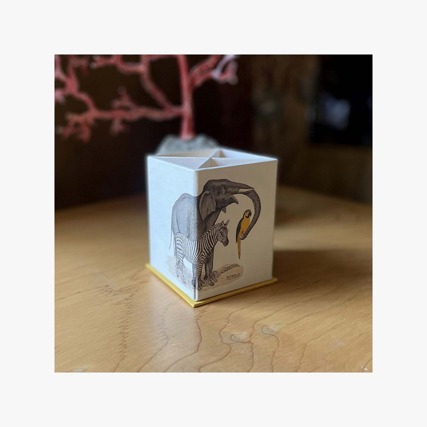 Deyrolle x Clairefontaine pencil pot