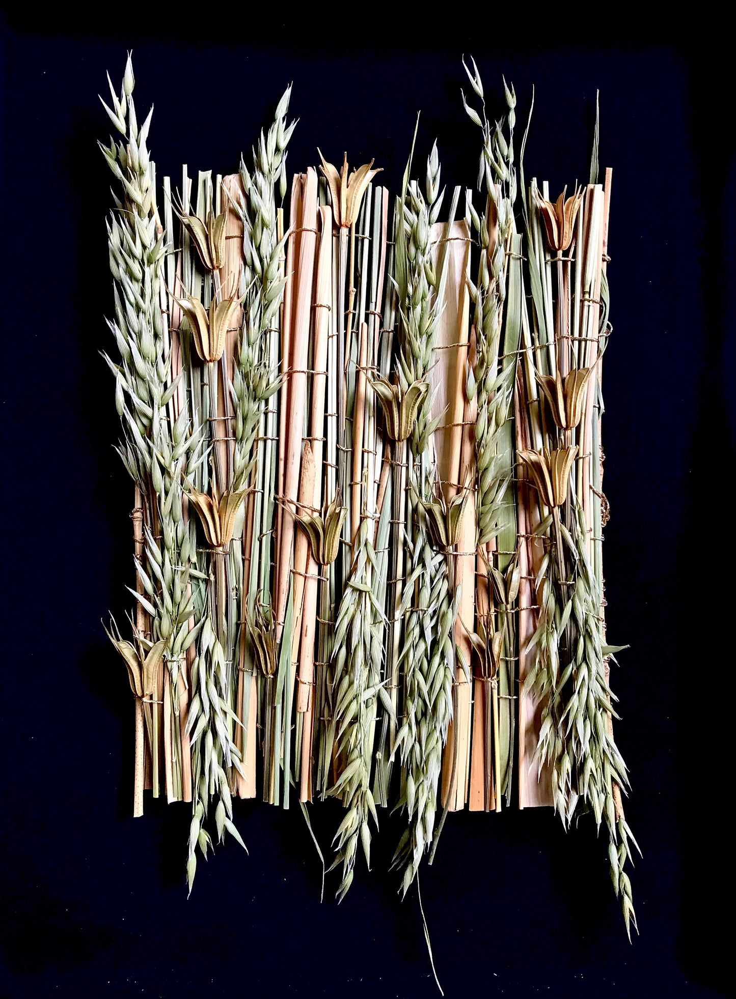 Tissage végétal N°3 - Série Topia