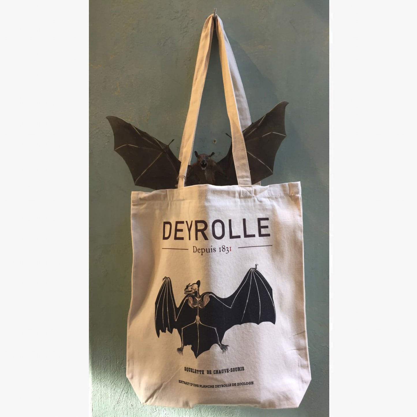 Tote bag squelette de Chauve-souris