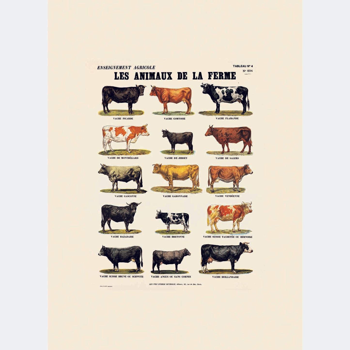 Les animaux de la ferme : les vaches