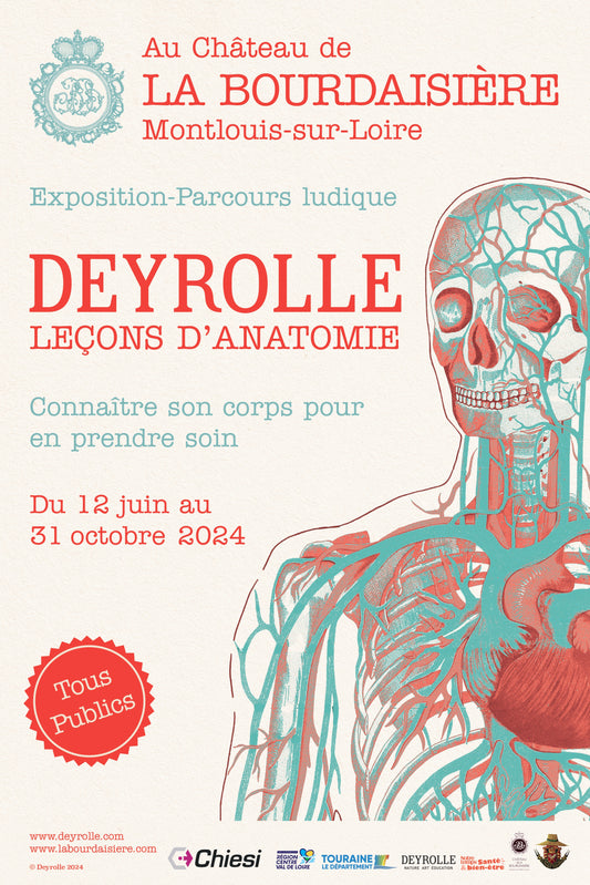 Exposition "Deyrolle, Leçon d'Anatomie"