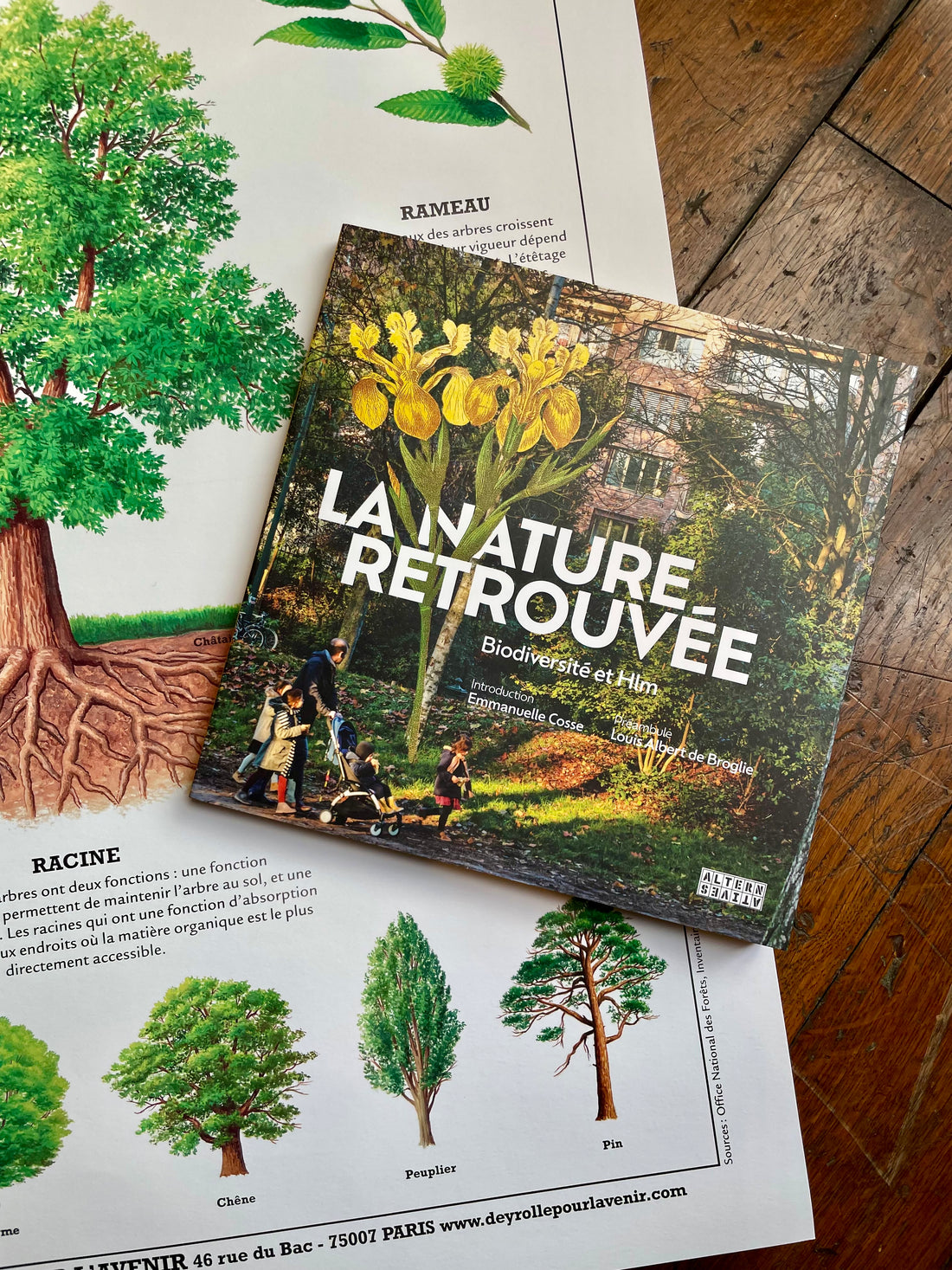 La Nature Retrouvée aux Editions Alternatives (Editions Gallimard)