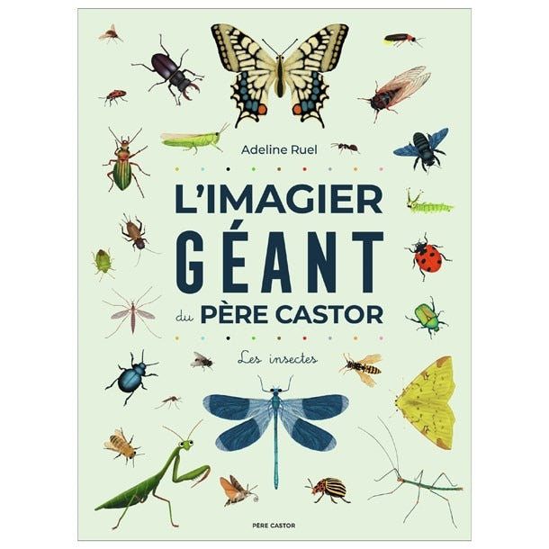 L’imagier géant du père Castor : les insectes