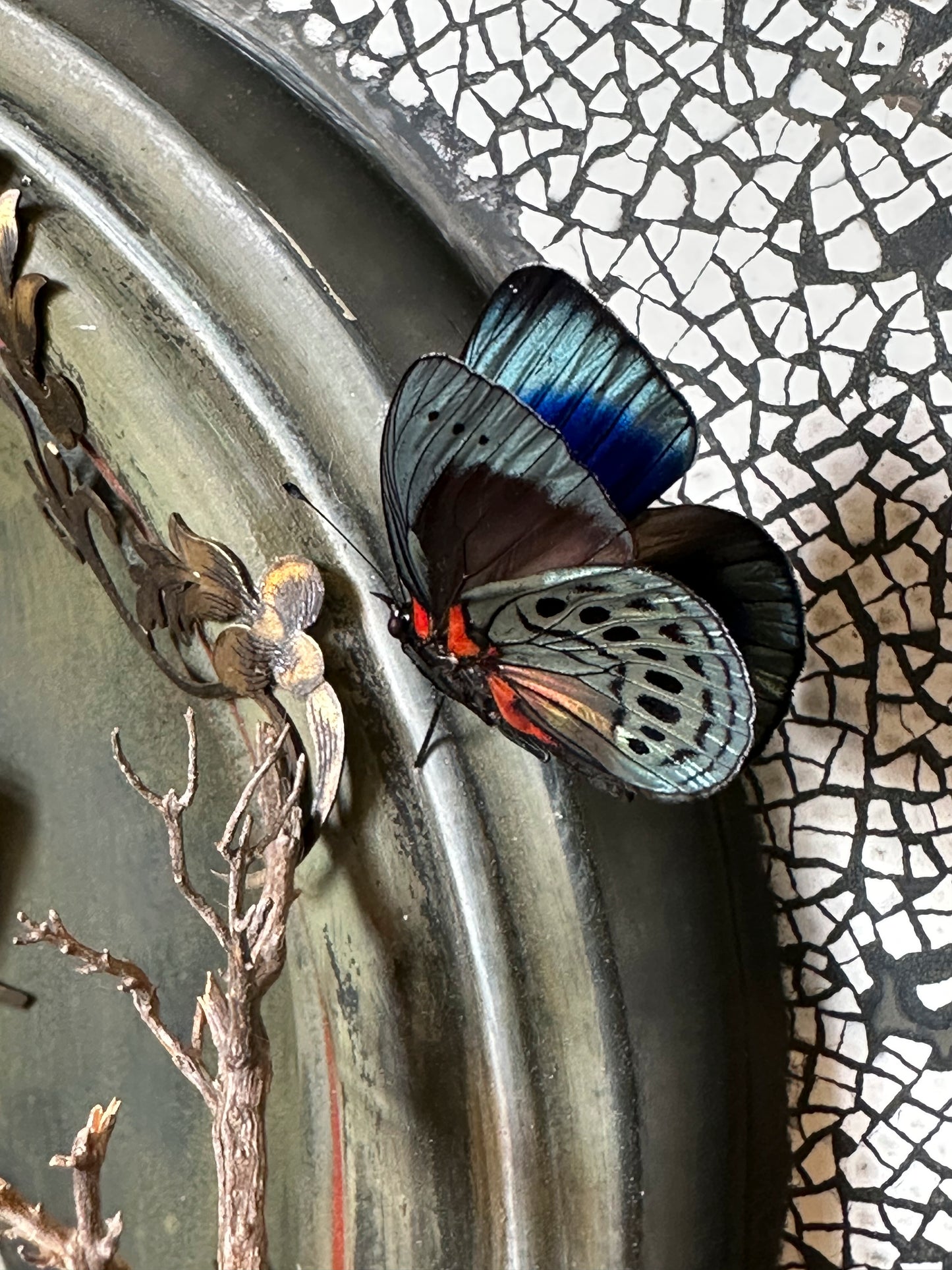 The Vase and the Bird