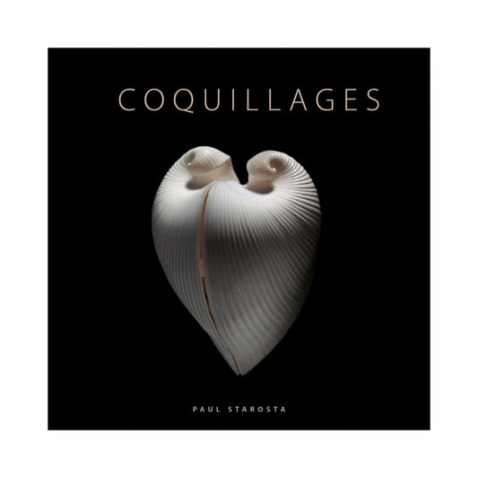 COQUILLAGES