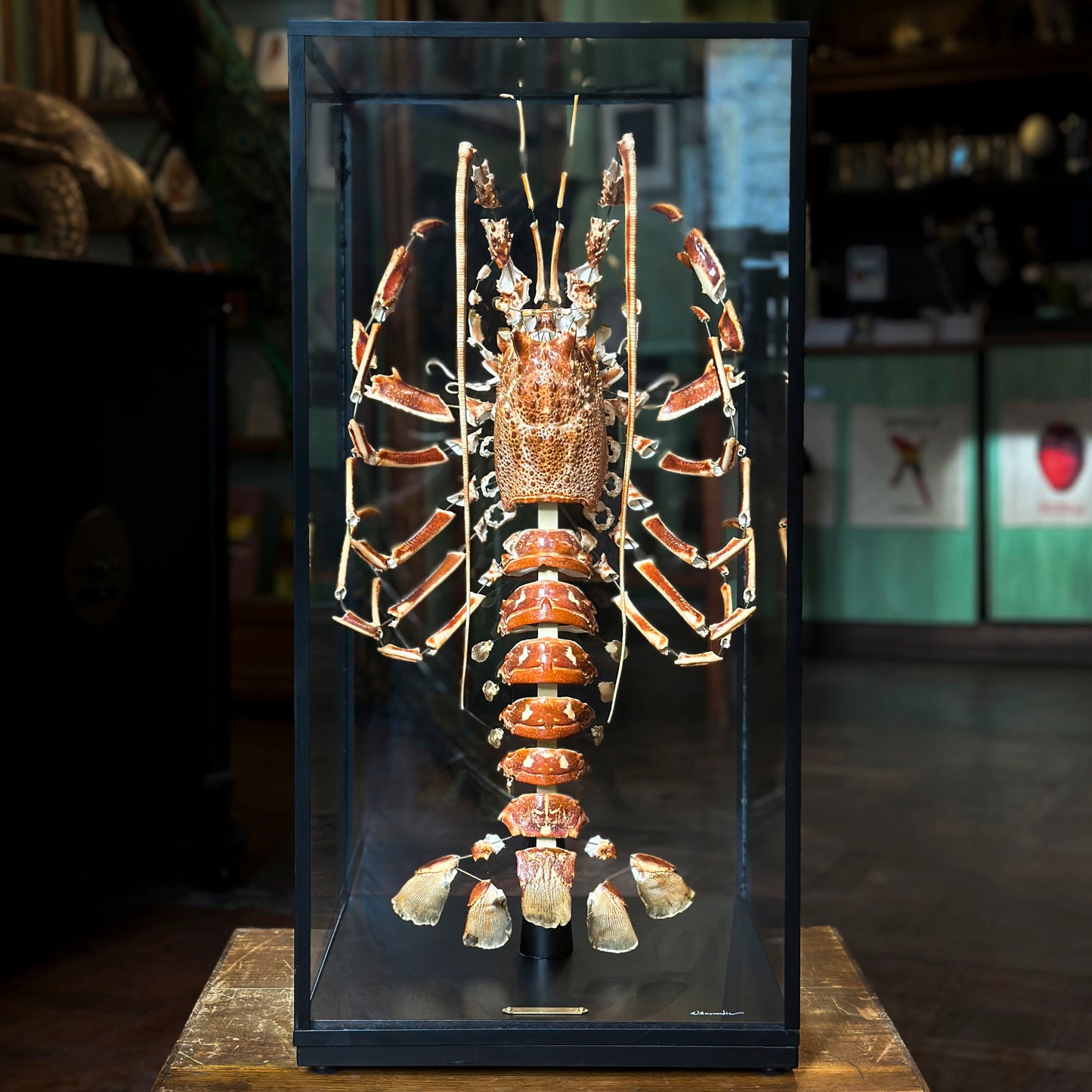 Lobster Explosion with Beauchêne