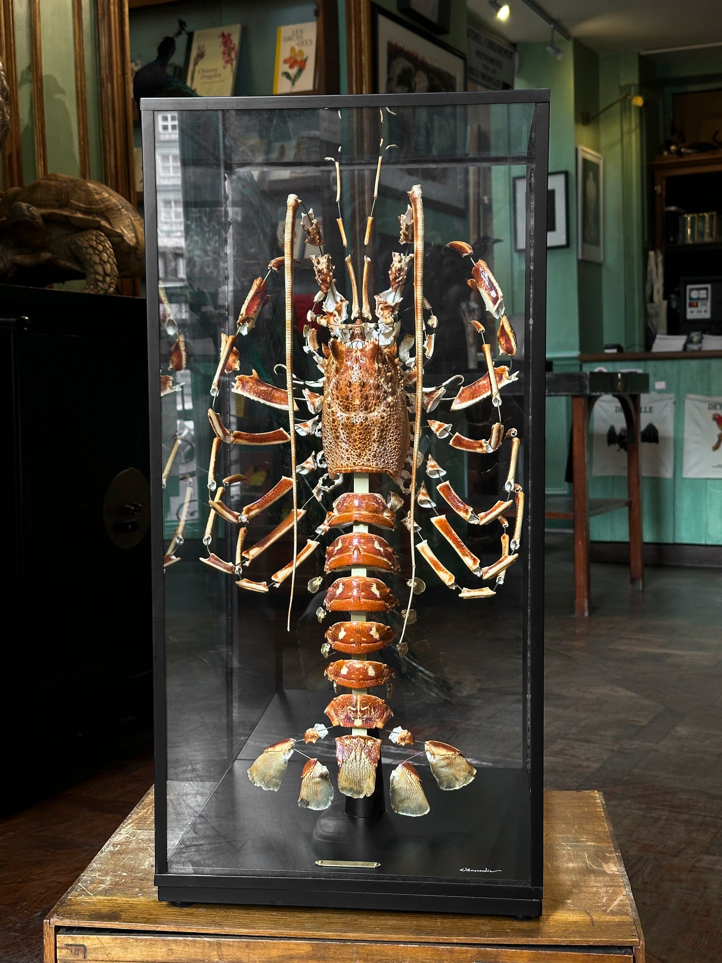 Lobster Explosion with Beauchêne