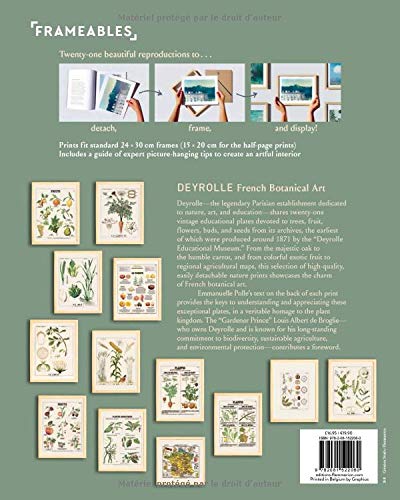 French Botanical Art (Frameables) - DEYROLLE