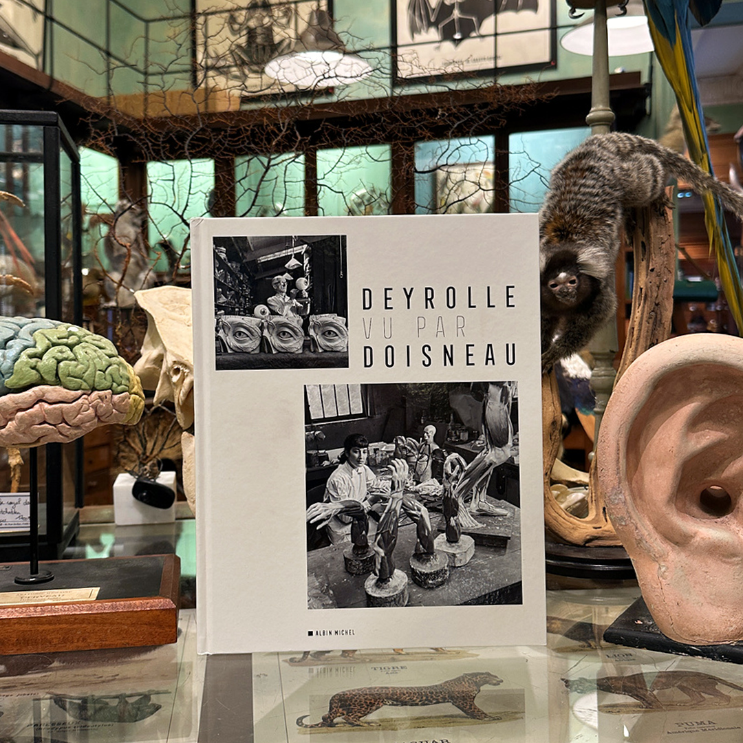 Deyrolle as seen by Doisneau
