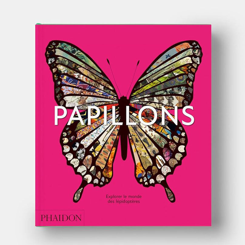 PAPILLONS
