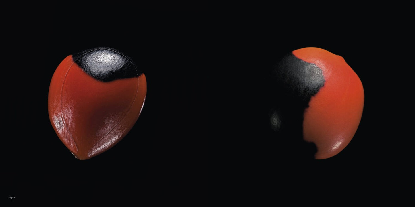 SEEDS