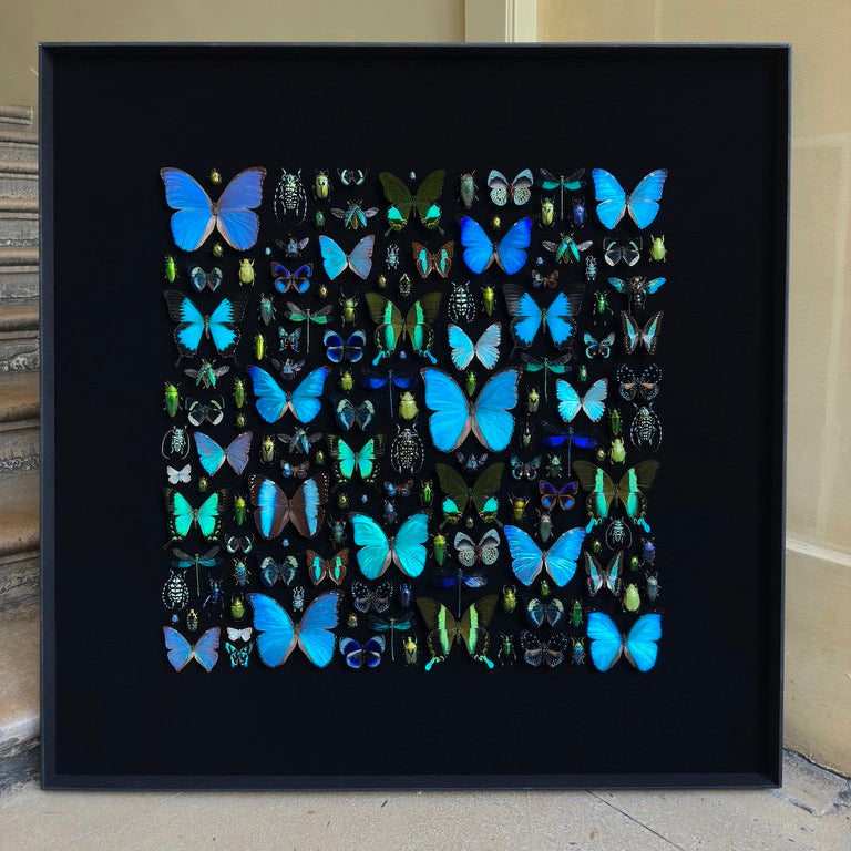 Composition Bleue et vert XXL