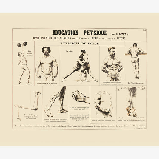 Education physique : exercices de force