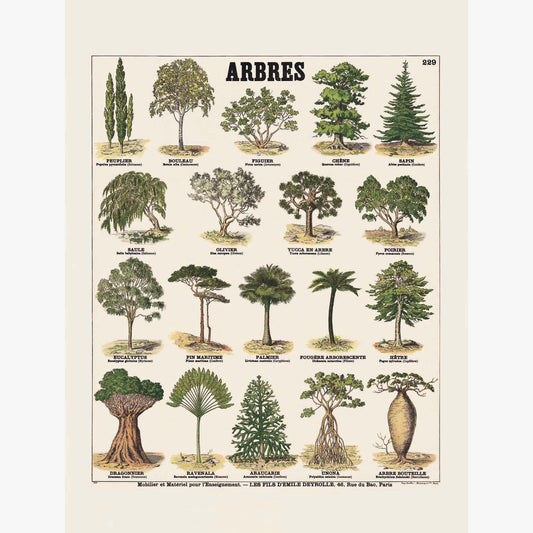 Arbres