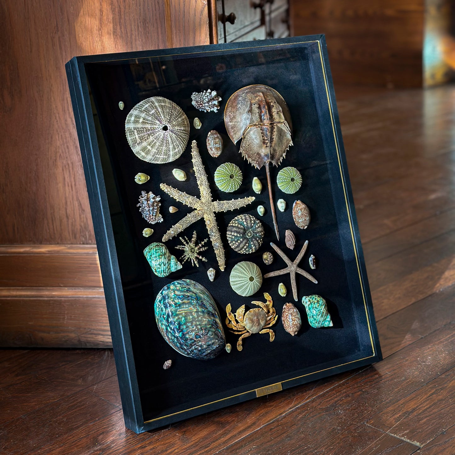 Composition marine verte