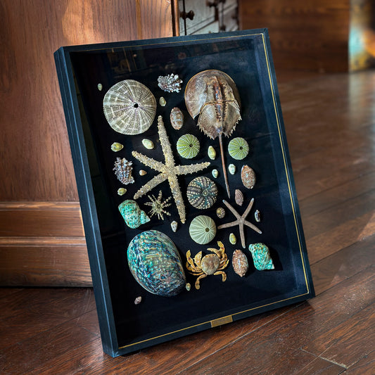 Composition marine verte