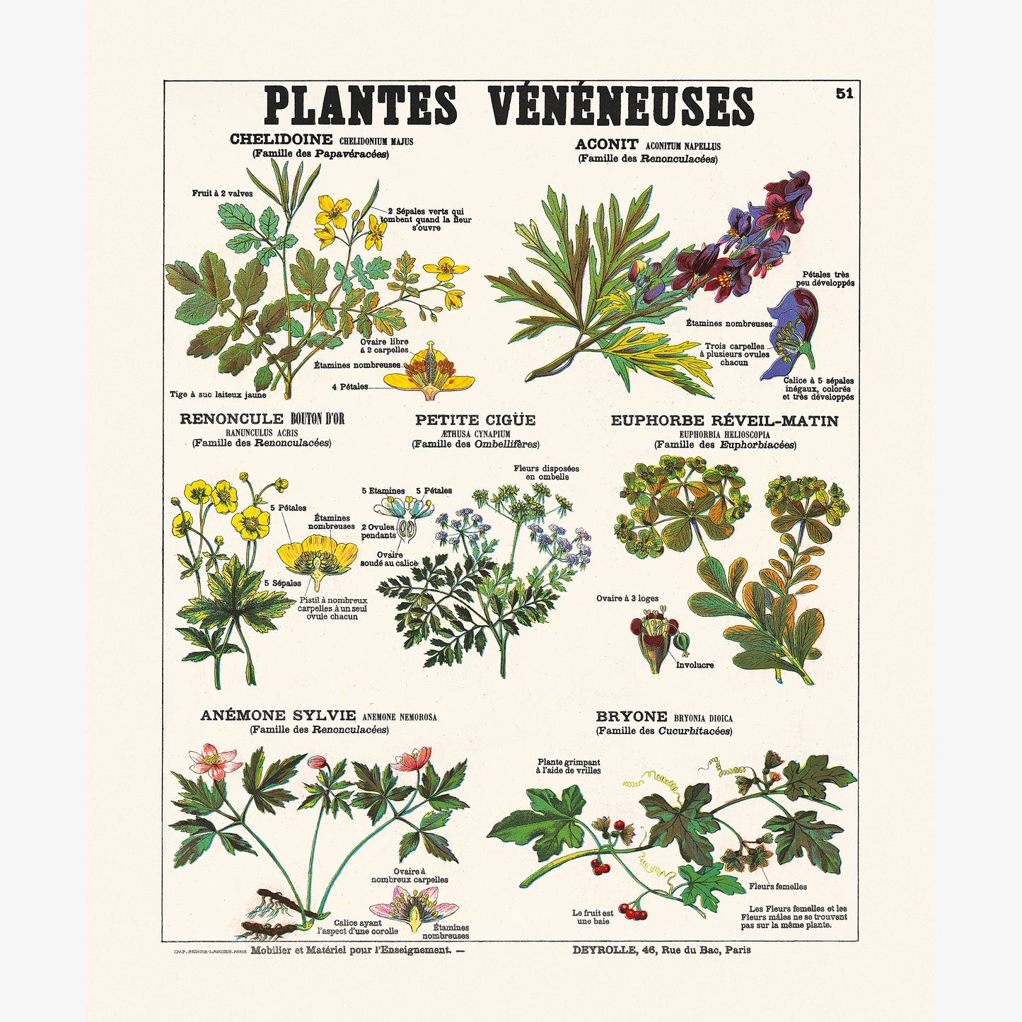 Plantes vénéneuses