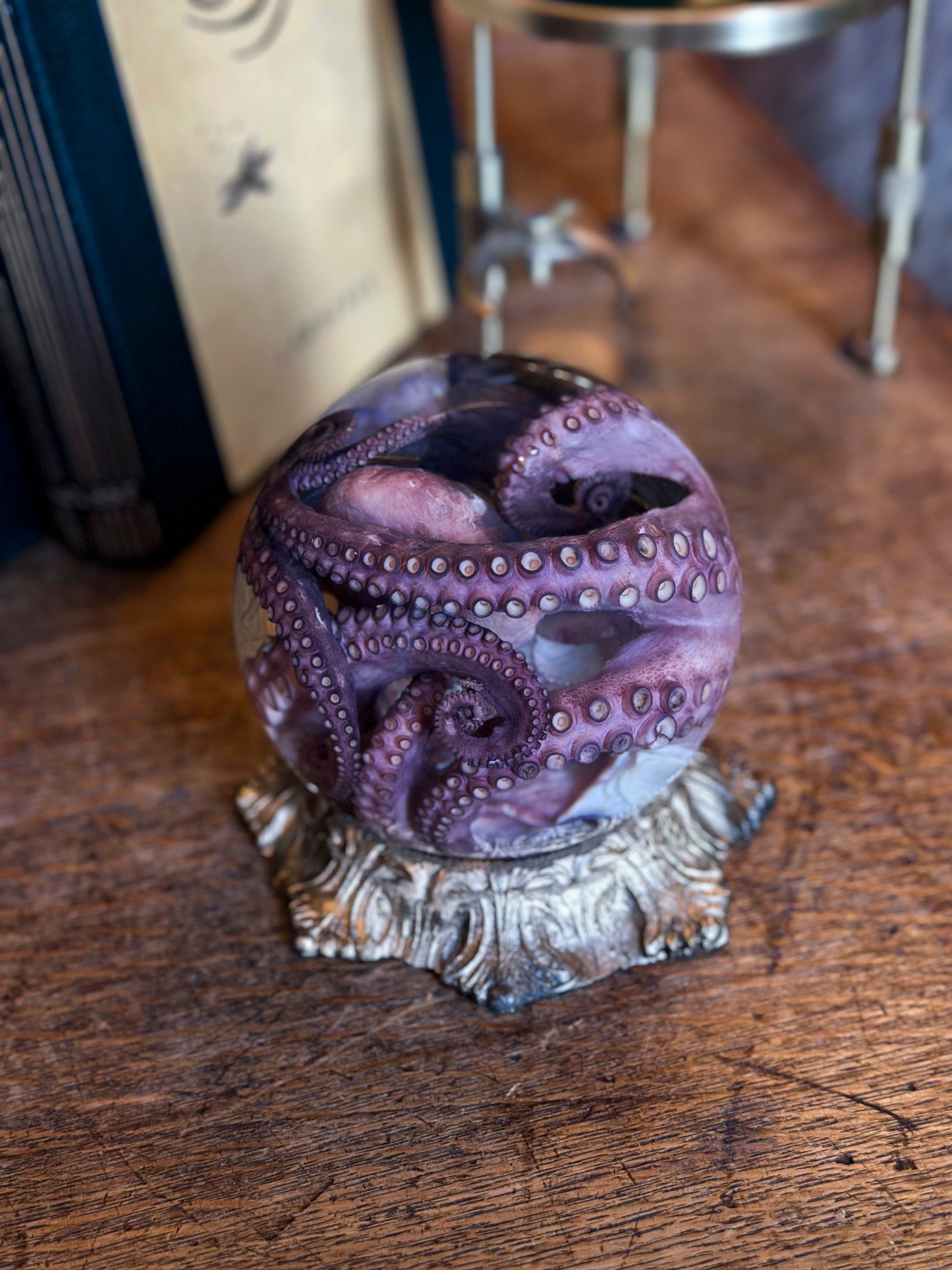 Boule Poulpe vulgaris wet specimen globe