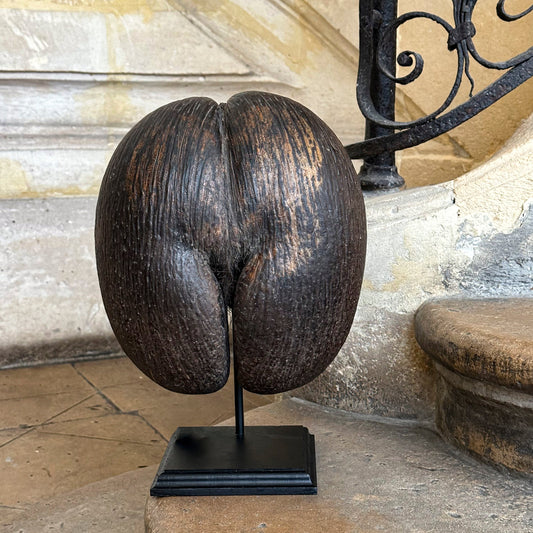 Coco de mer sur socle bois