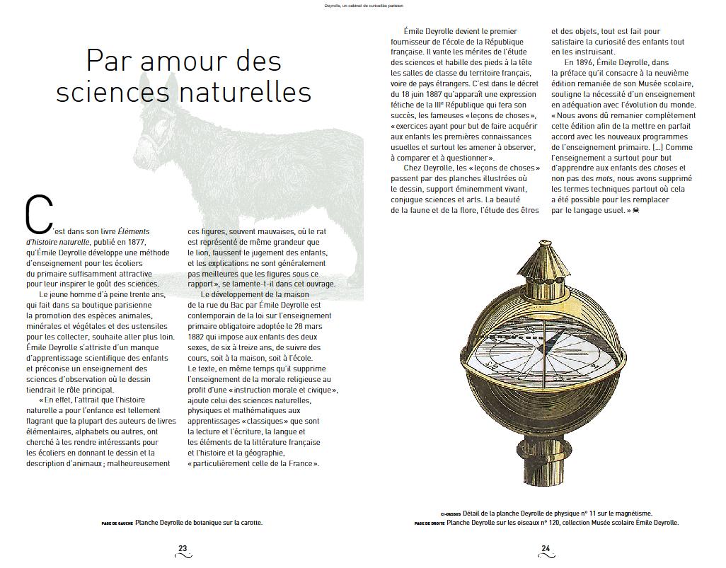 DEYROLLE, un cabinet de curiosité parisien