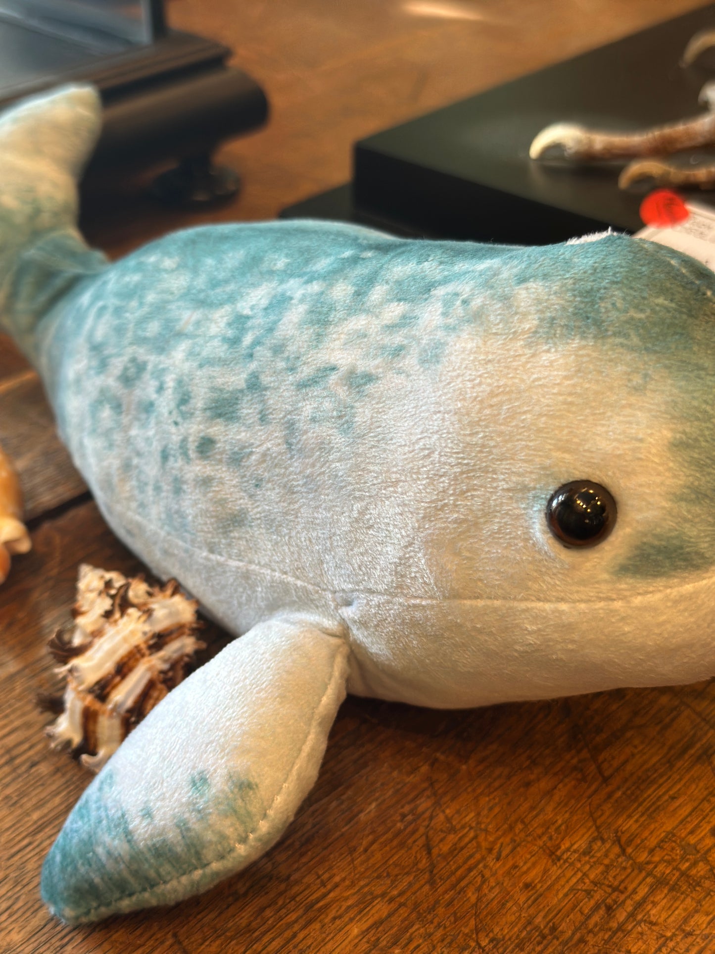 Narwhal Plush Toy
