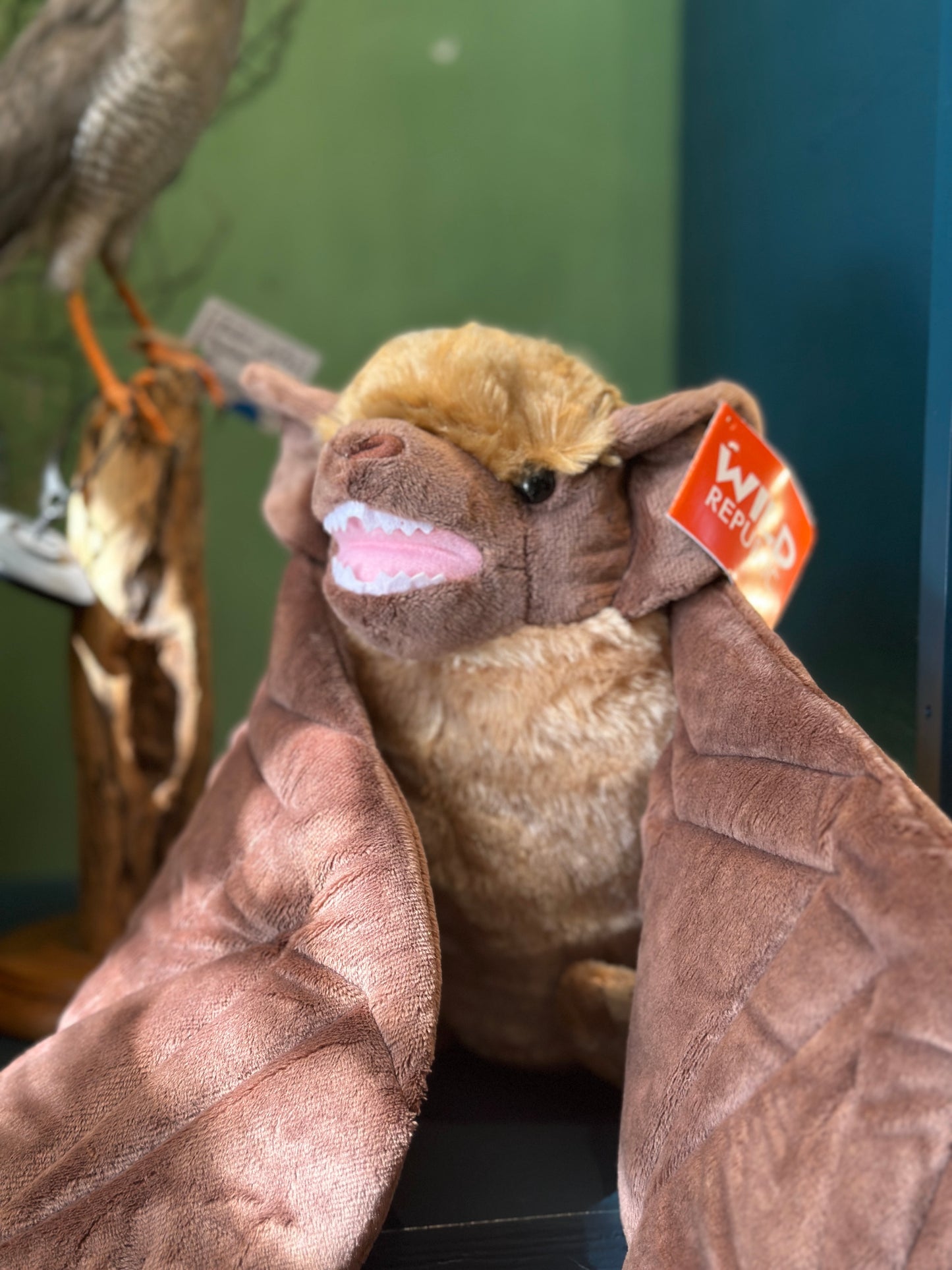 Bat Plush Toy