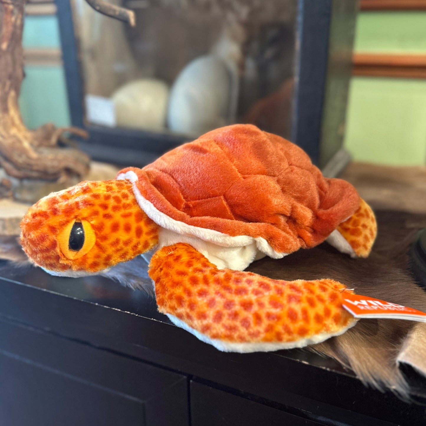 Loggerhead Sea Turtle Plush Toy