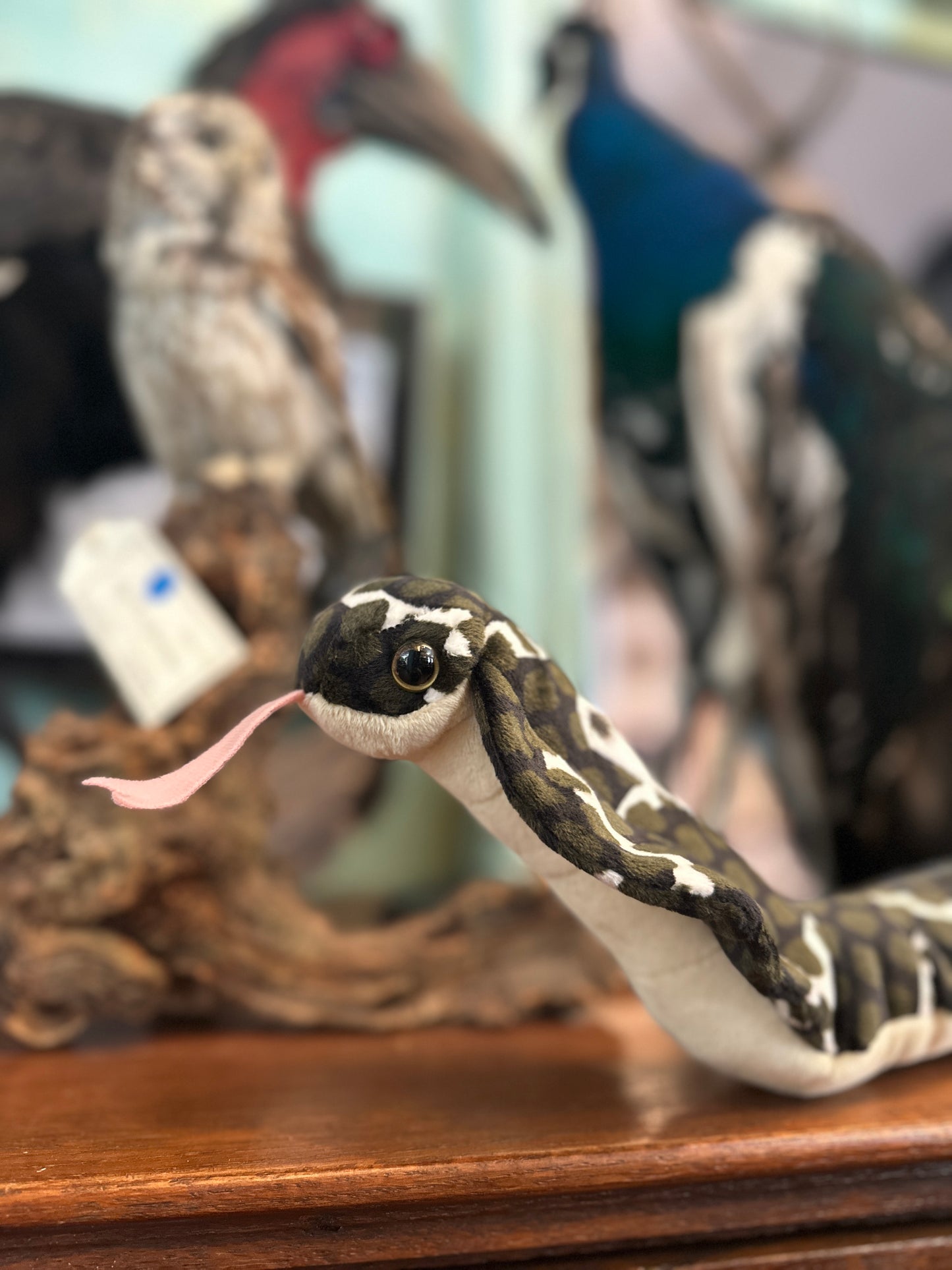 Plush Cobra snake