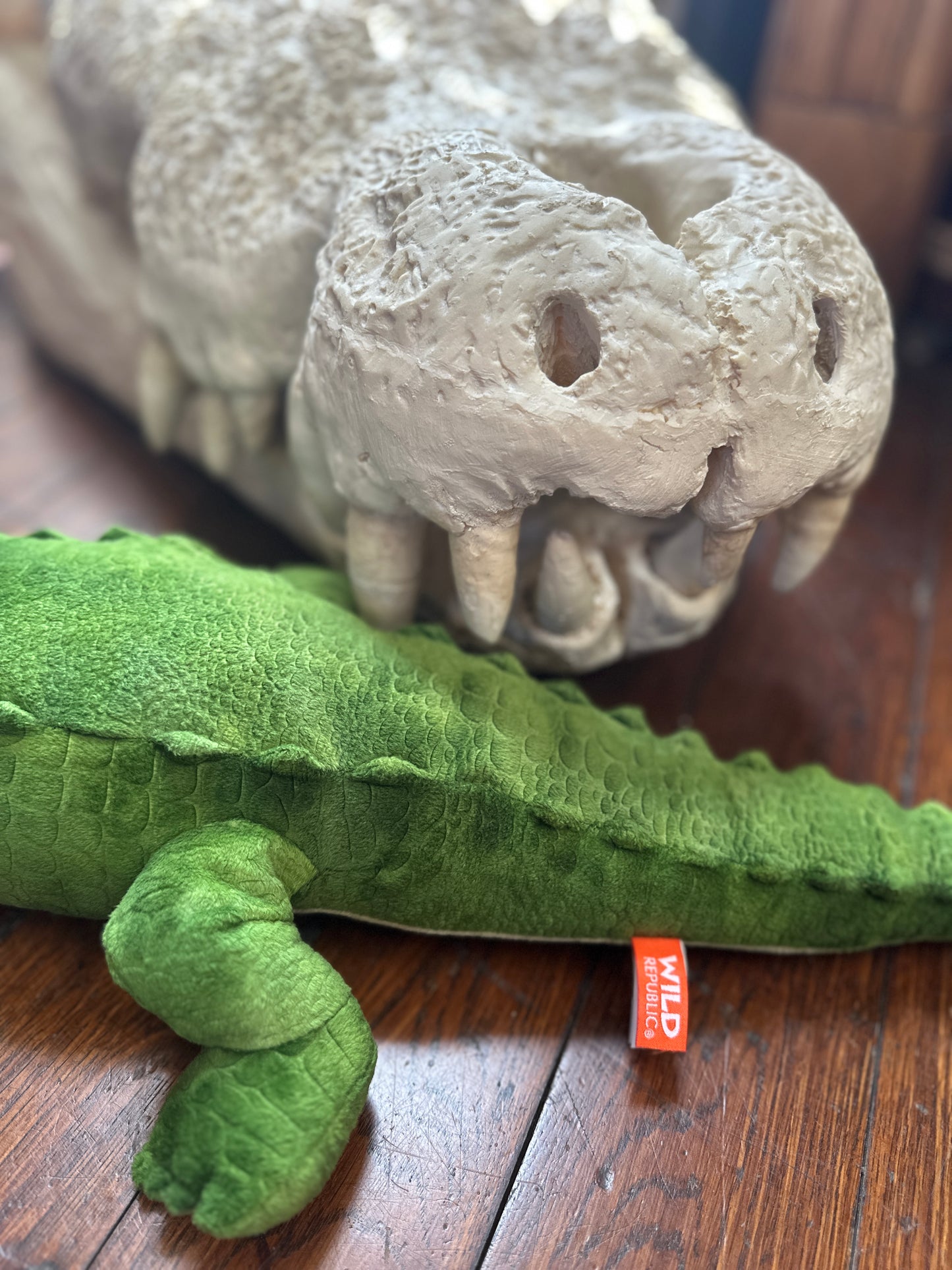 Alligator Plush Toy