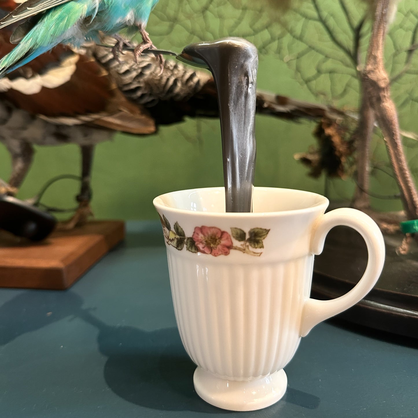 Perruche Ondulée sur tasse