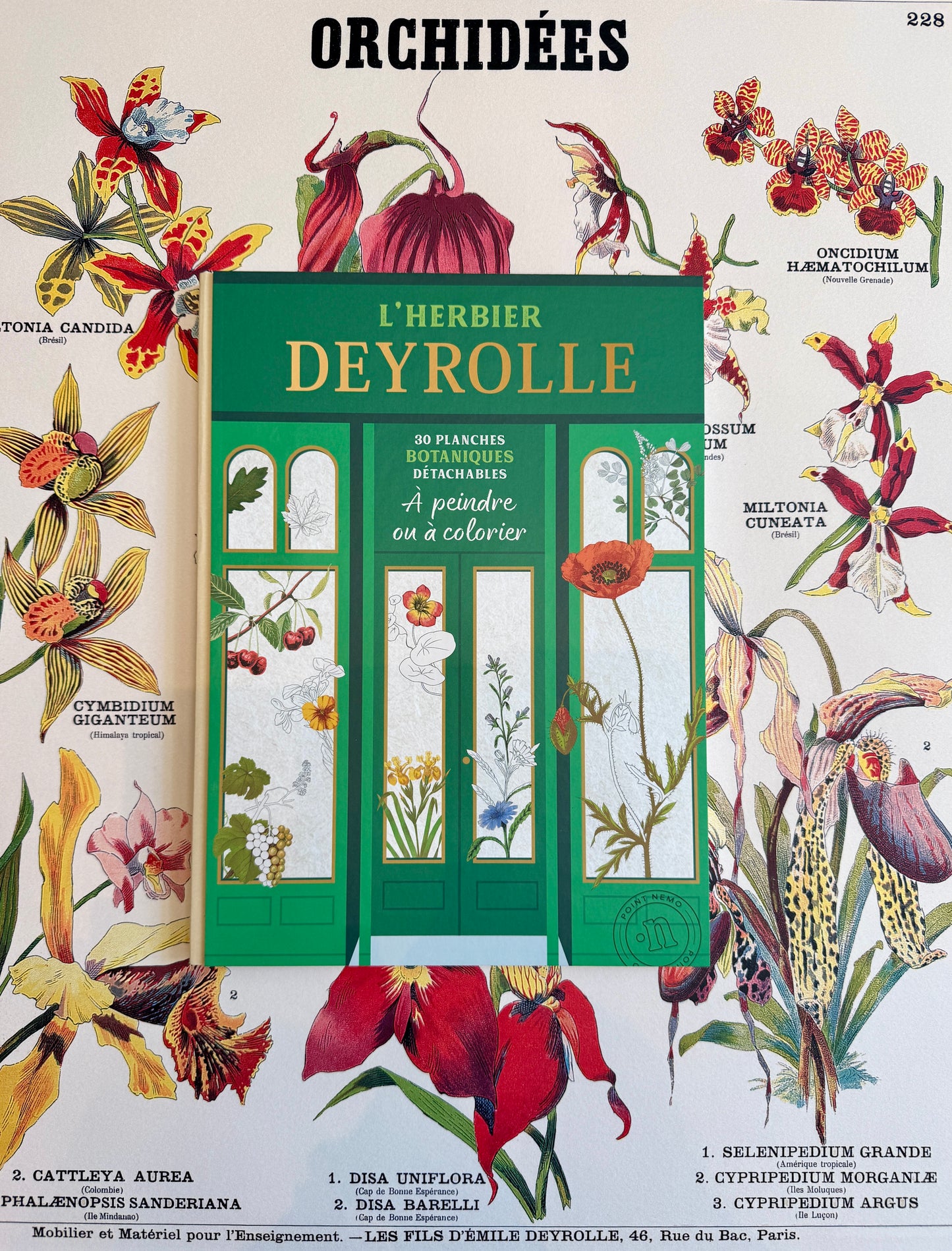 Coloring Book: "Deyrolle's Herbarium"
