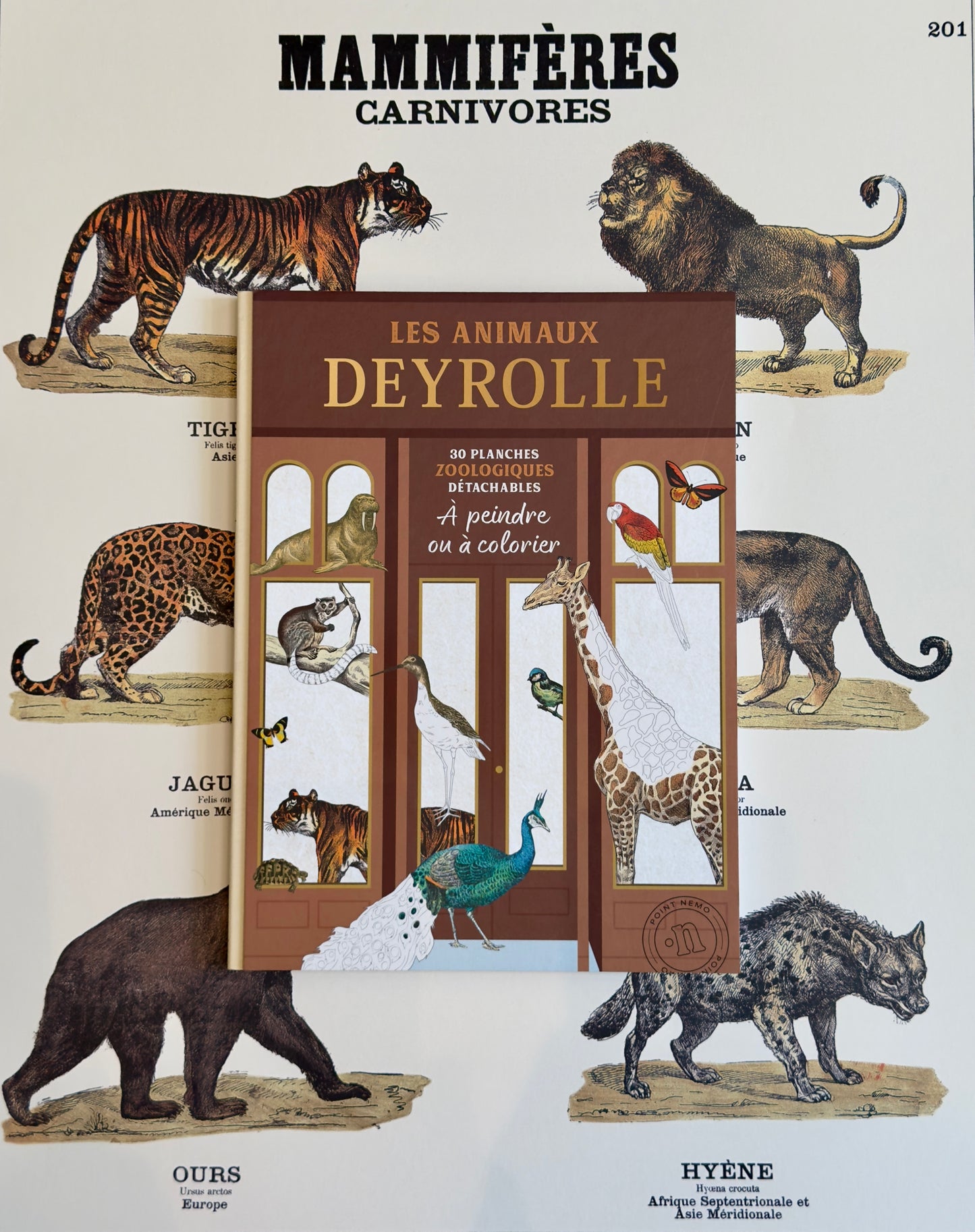 Coloring Book: "Deyrolle Animals"