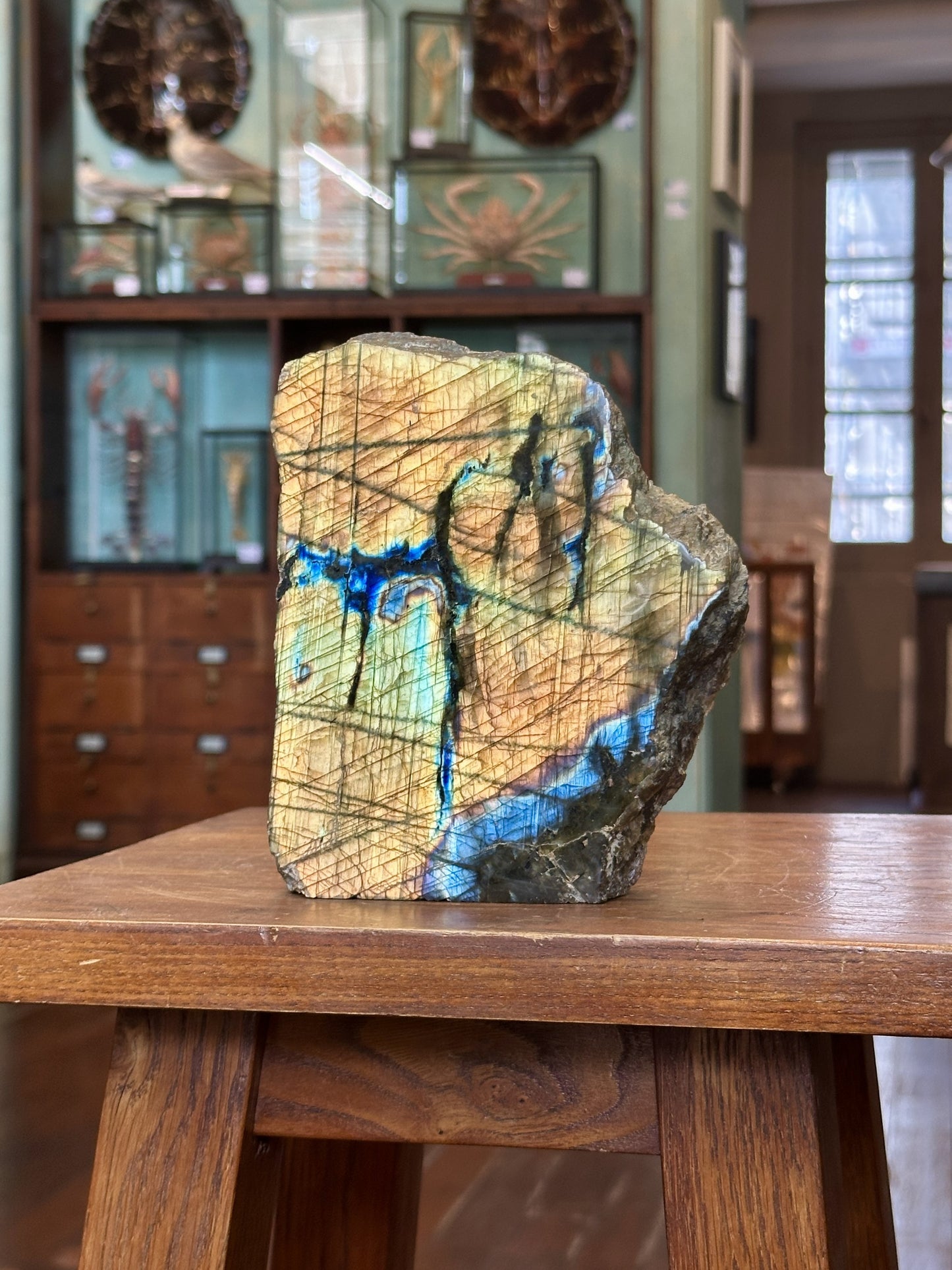 Semi-polished labradorite