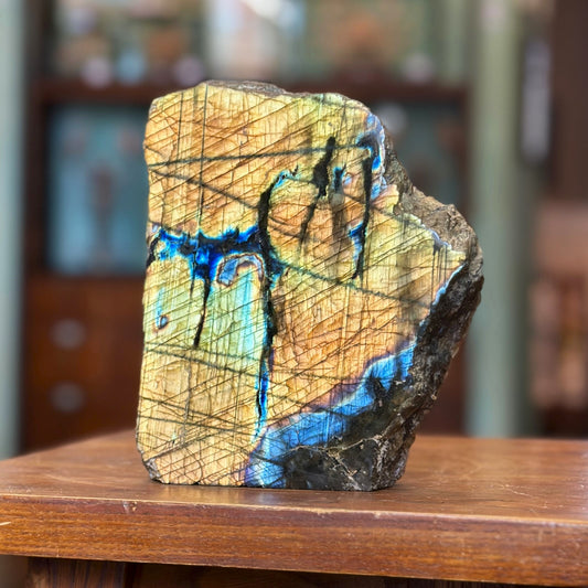 Semi-polished labradorite