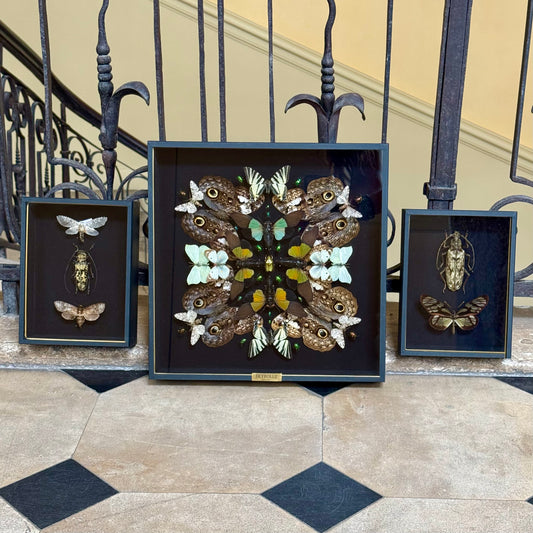 Wabi-Sabi Triptych