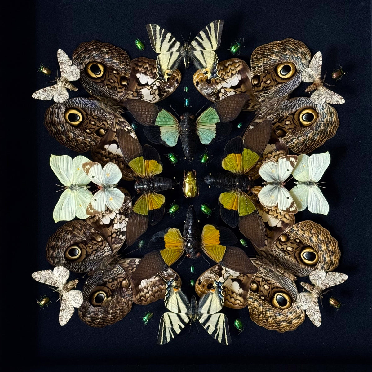 Wabi-Sabi Triptych
