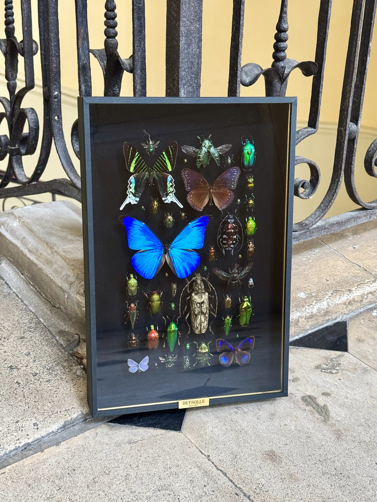 Inventarium n°1