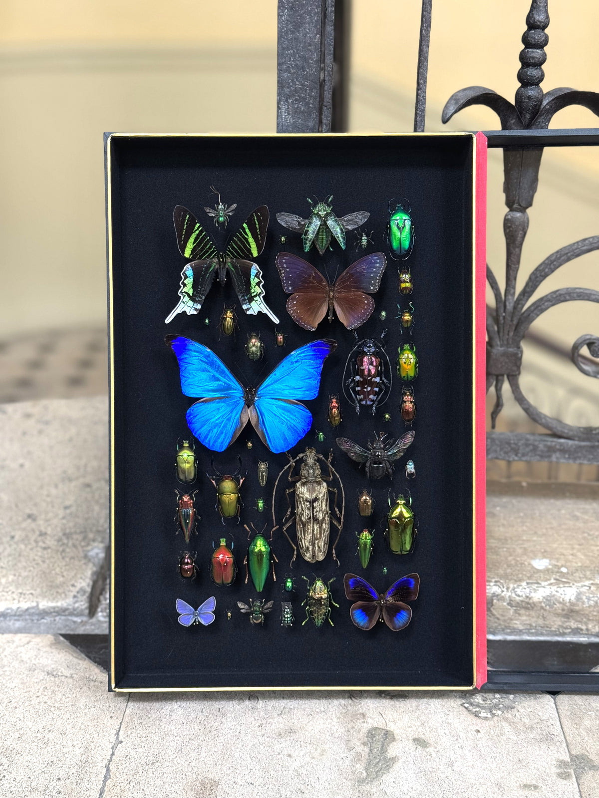 Inventarium n°1