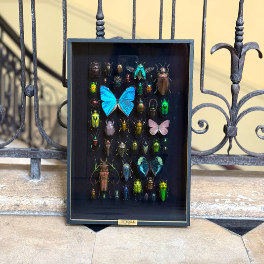 Inventory No. 2