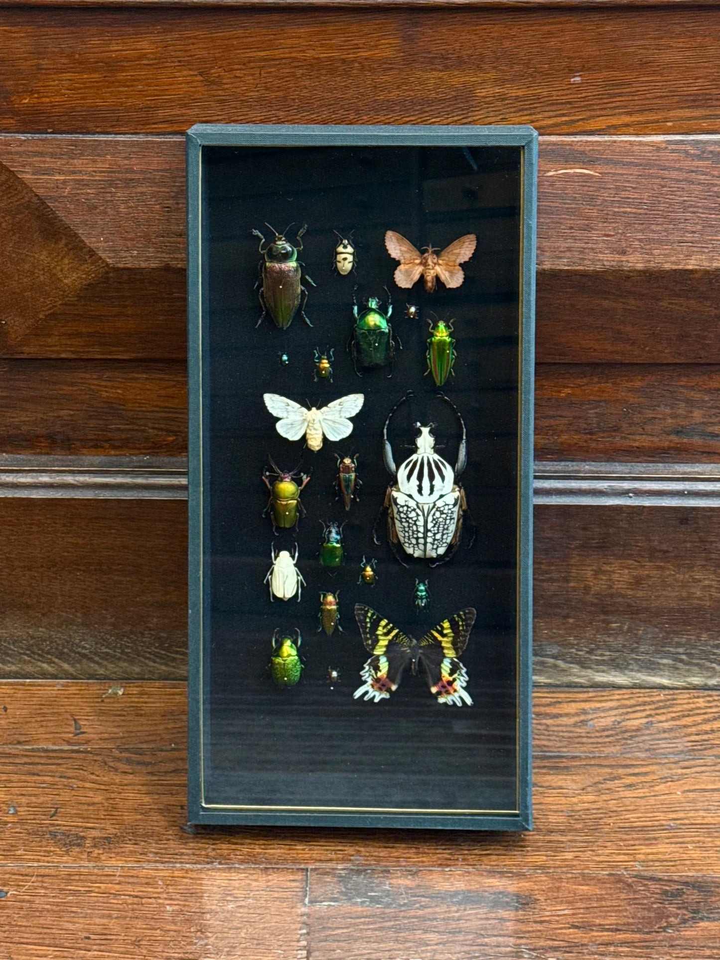 Inventarium n°4