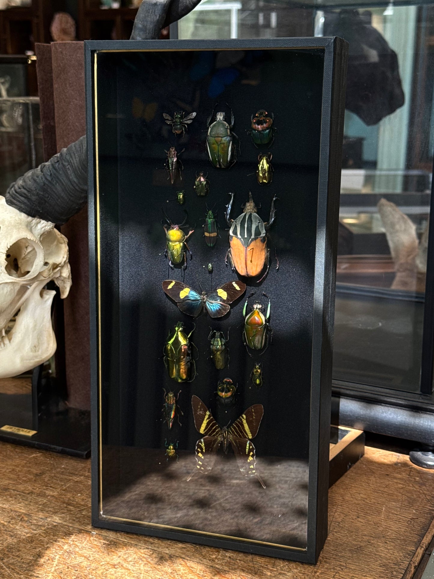 Inventarium n°3