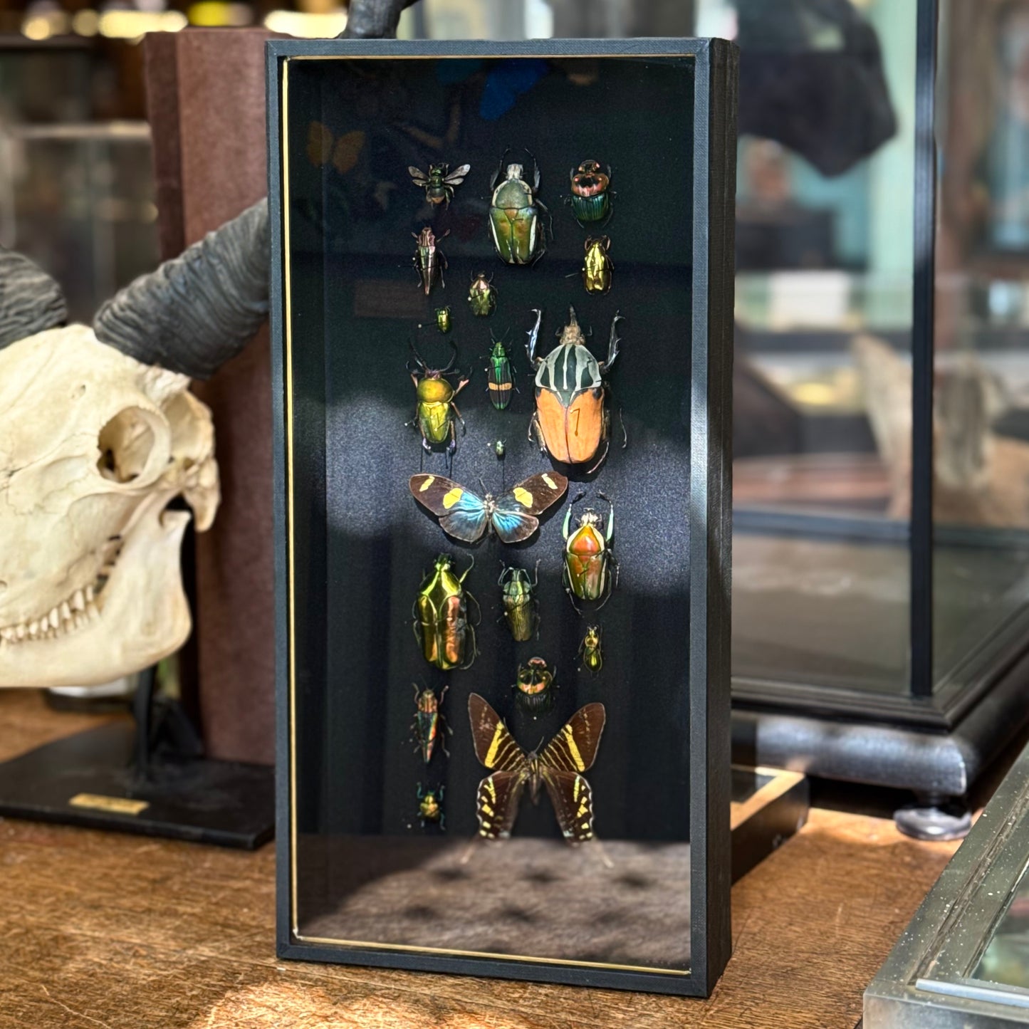 Inventarium n°3