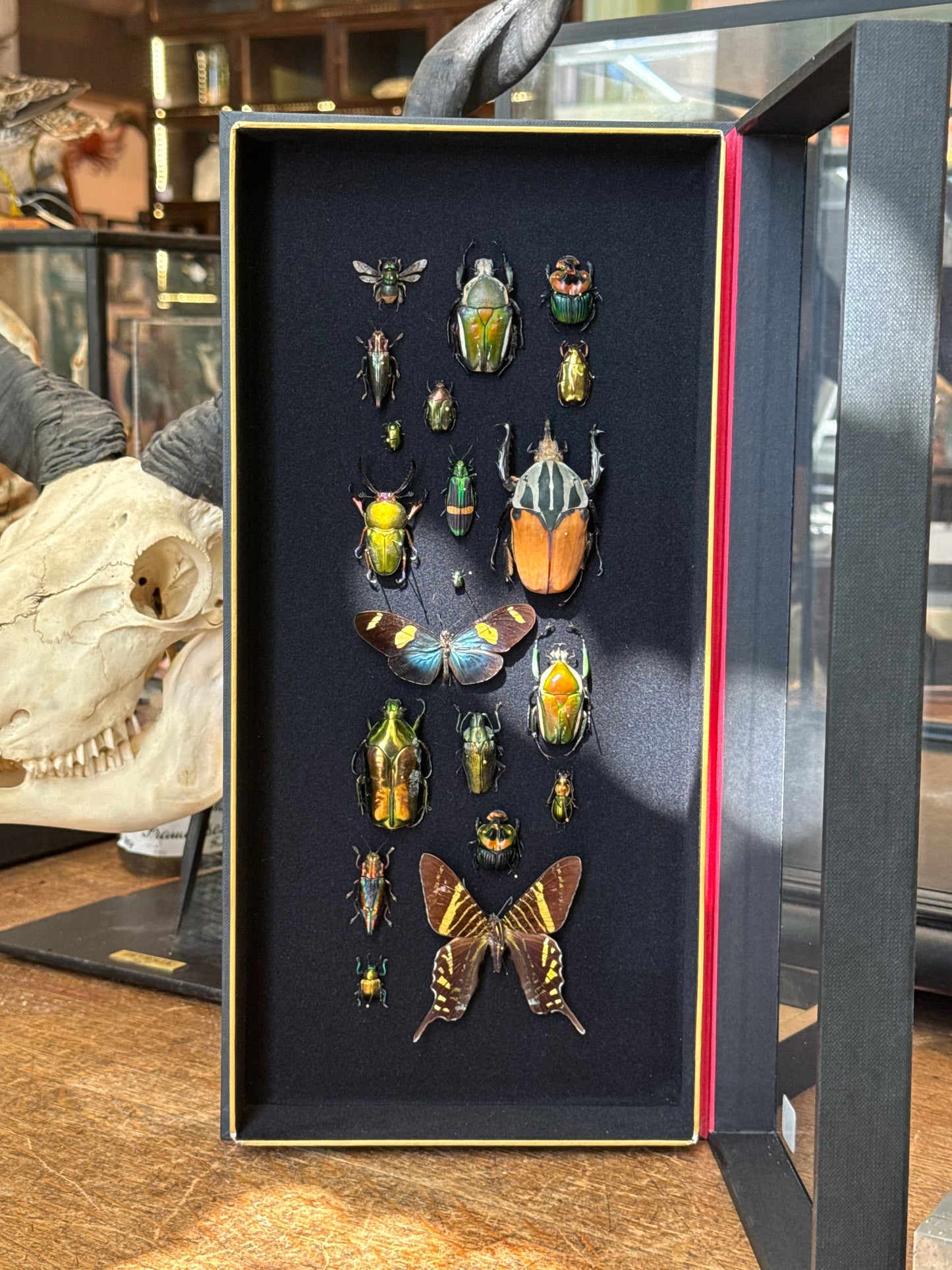 Inventarium n°3