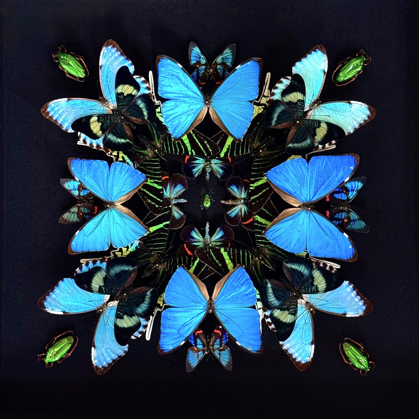 Composition en symétrie