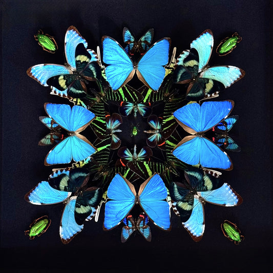 Symmetrical composition