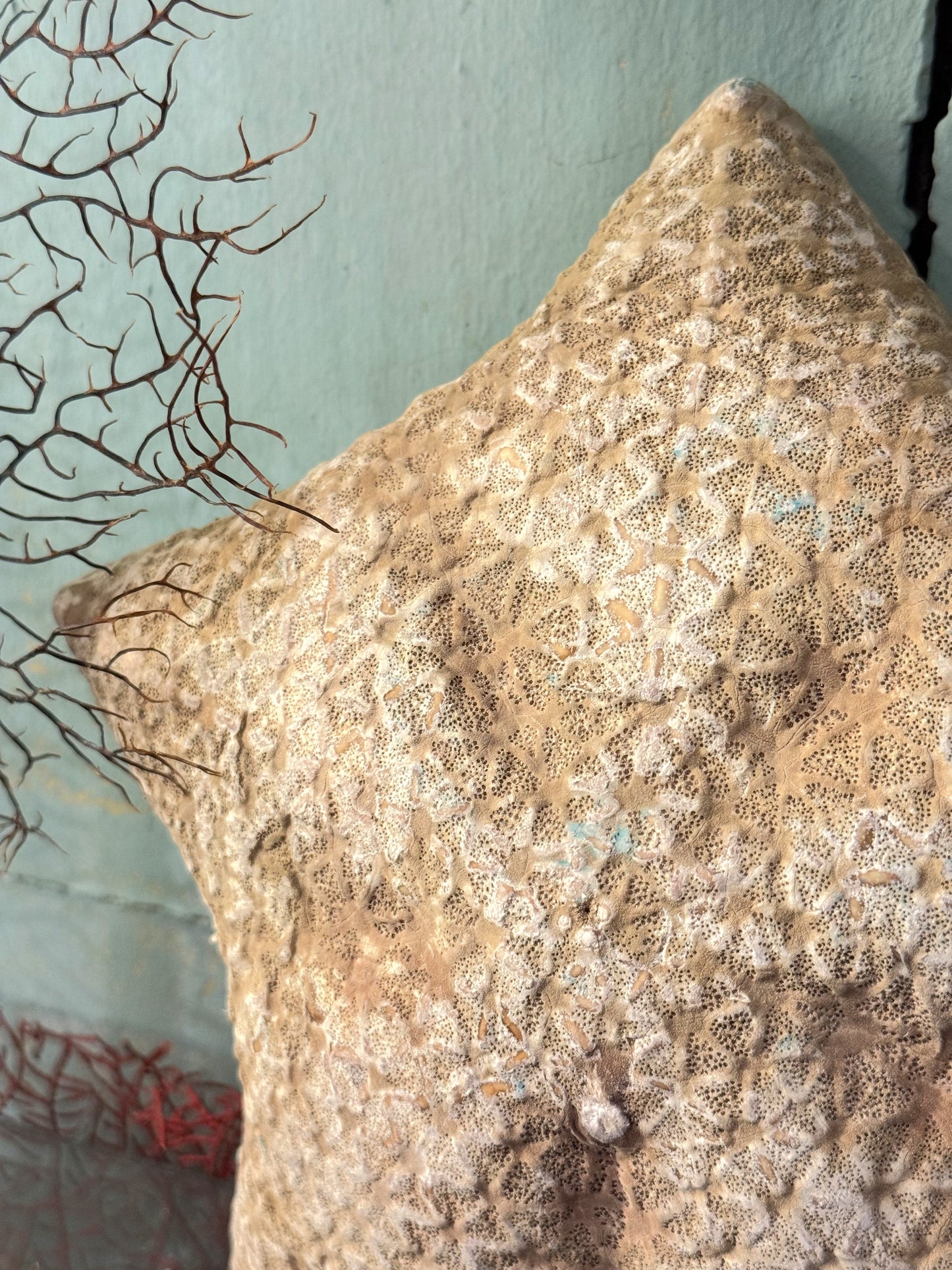 Étoile-coussin